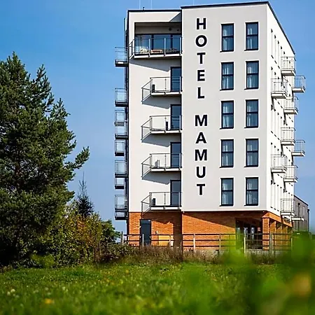 Mamut Hotel 3*