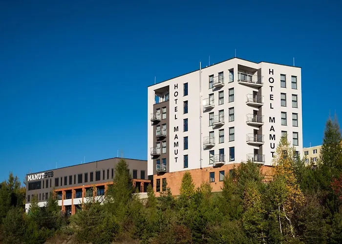 Hotel Mamut 3*